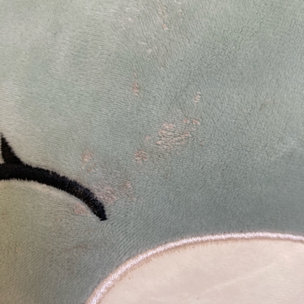 Cornella squishmallow
